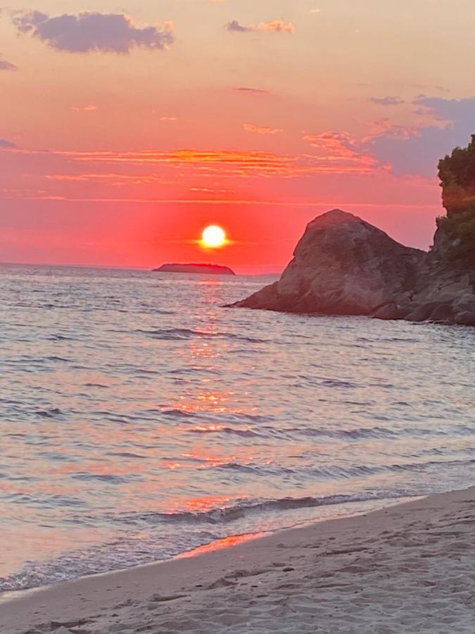 White Sand Villa Koviou Beach Nikiti Sithonia ภายนอก รูปภาพ