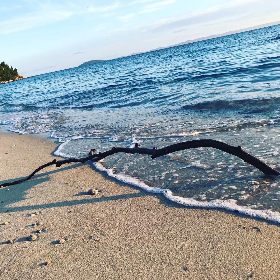White Sand Villa Koviou Beach Nikiti Sithonia ภายนอก รูปภาพ